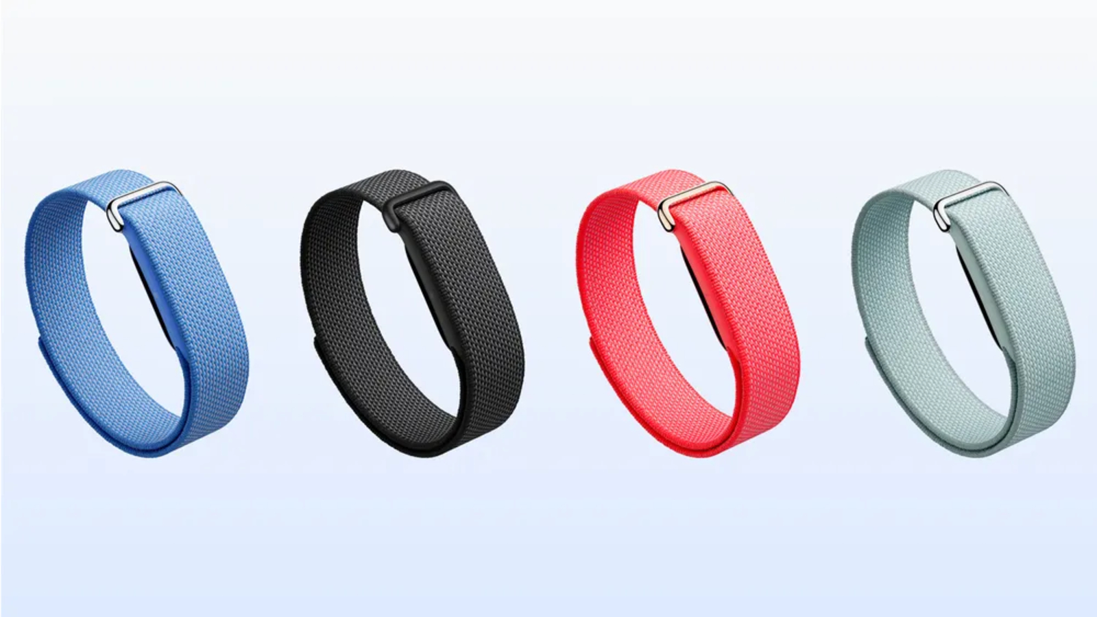The Complete Wiki to the Fitbit Air
